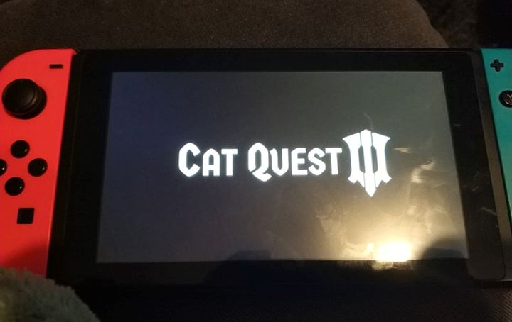 Cat Quest III