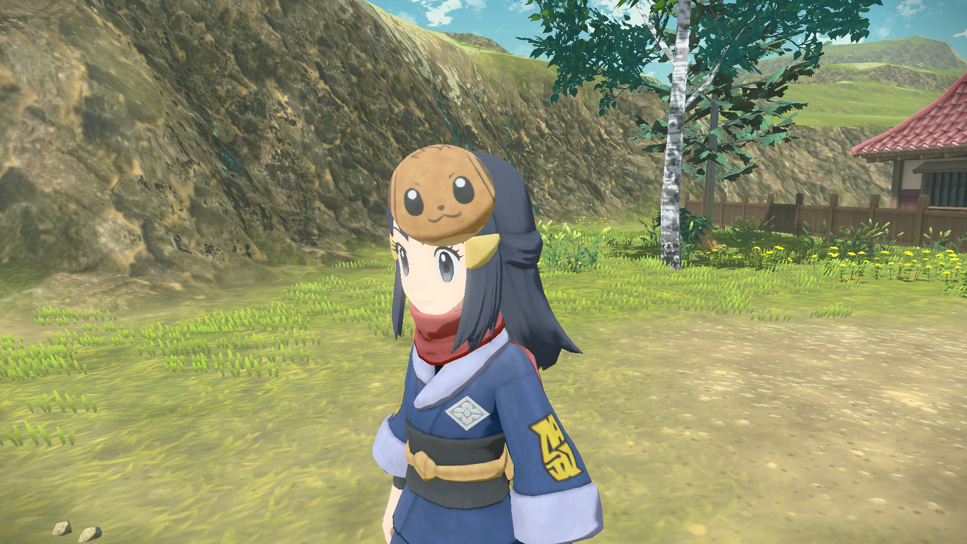 Légendes Pokémon : Arceus