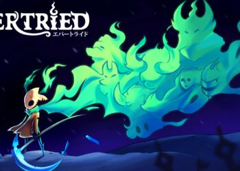 Evertried (Nintendo Switch) – Le test