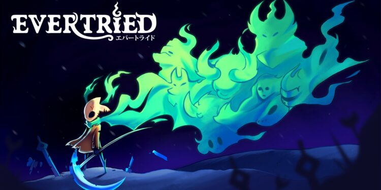 Evertried (Nintendo Switch) – Le test