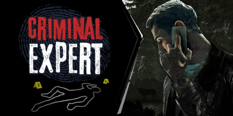 Criminal Expert (Nintendo Switch) – Le test