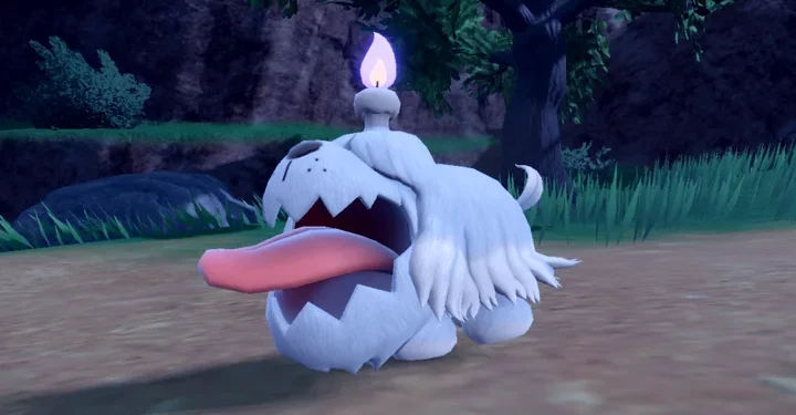 Un nouveau Pokémon a été découvert dans la région de Paldea : Toutombe, le rôdeur souterrain vient d’être révélé !