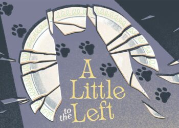 A Little to the Left (Nintendo Switch) – Le test