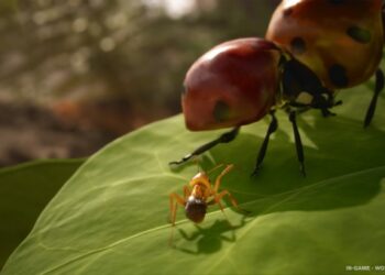 Les Fourmis, le jeu vidéo adapté du best-seller de Bernard Werber, se dévoile