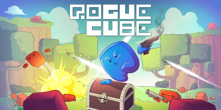 RogueCube (Nintendo Switch) – Le test
