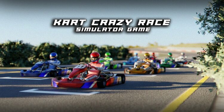 Kart Crazy Race Simulator Game (Nintendo Switch) – Le test