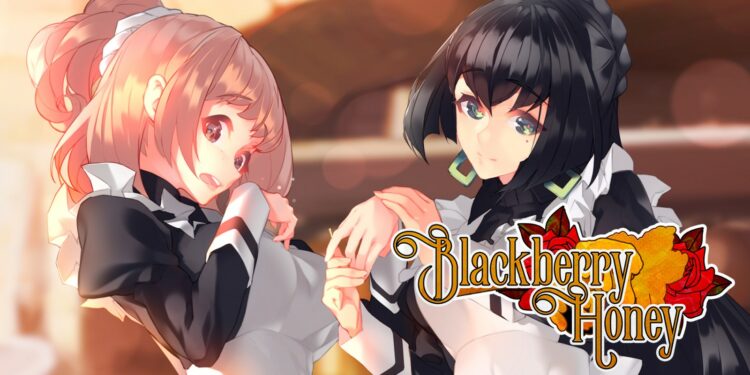 Blackberry Honey (Nintendo Switch) – Le test