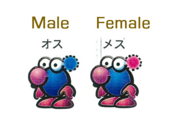 Pikmin : les origines sur Nintendo 64