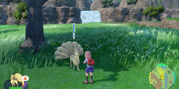 Résumé complet du Pokémon Presents du 8 août