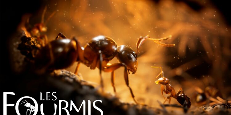 Les Fourmis, le jeu vidéo adapté du best-seller de Bernard Werber, se dévoile à travers une première bande-annonce