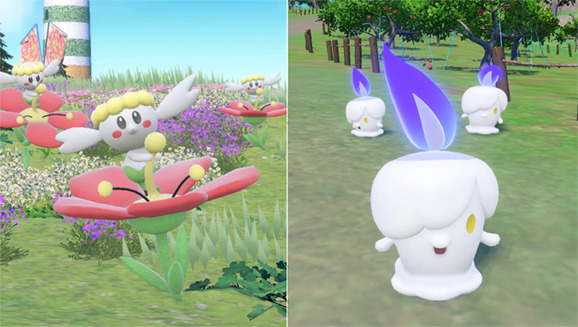 Attrapez des Flabébé et des Funécire lors des apparitions massives évènementielles de Pokémon Écarlate et Violet !