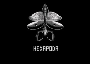 HEXAPODA (Nintendo Switch) – Le test