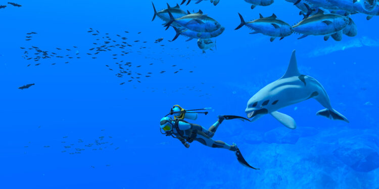 Endless Ocean Luminous (Nintendo Switch) – Le test