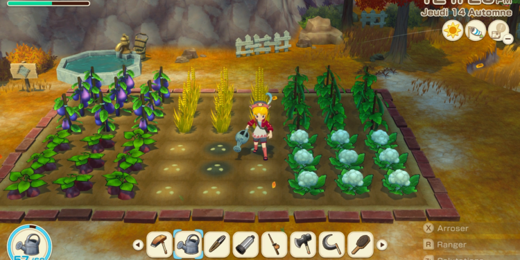 STORY OF SEASONS : Grand Bazaar dévoilé lors du Nintendo Direct, ouverture sur Nintendo Switch