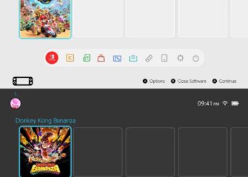 Nintendo Switch 2 : seulement deux thèmes disponibles au lancement