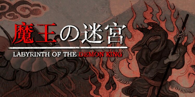 Labyrinth Of The Demon King (Nintendo Switch) – Le test