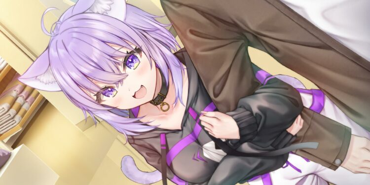 Plus de 60 jeux Entergram retirés de l’eShop Switch Nintendo Switch en septembre