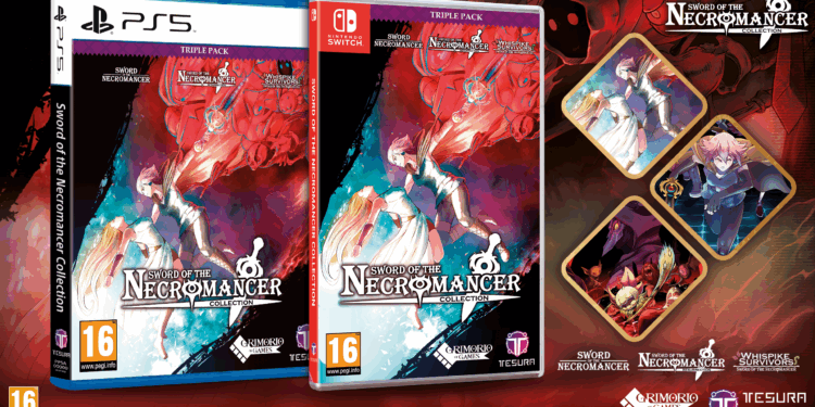 Sword of the Necromancer Collection : une édition physique définitive annoncée sur PS5 et Nintendo Switch pour février 2026