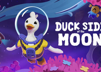 Duck Side of the Moon