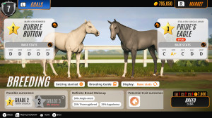 Rival Stars Horse Racing