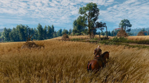 The Witcher III: Wild Hunt Remastered